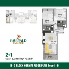 2cb17e69ba.jpg