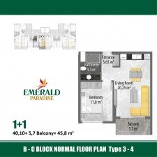 a38d461d24.jpg