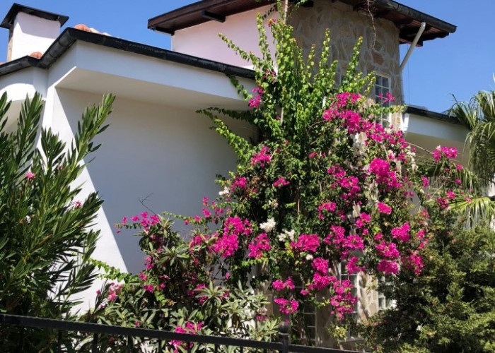 Sunrise Villas Kargicak Alanya Antalya Turkey