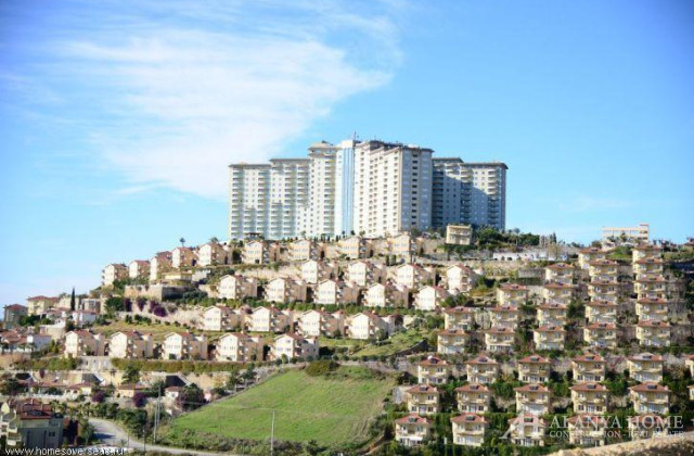 Gold Sity