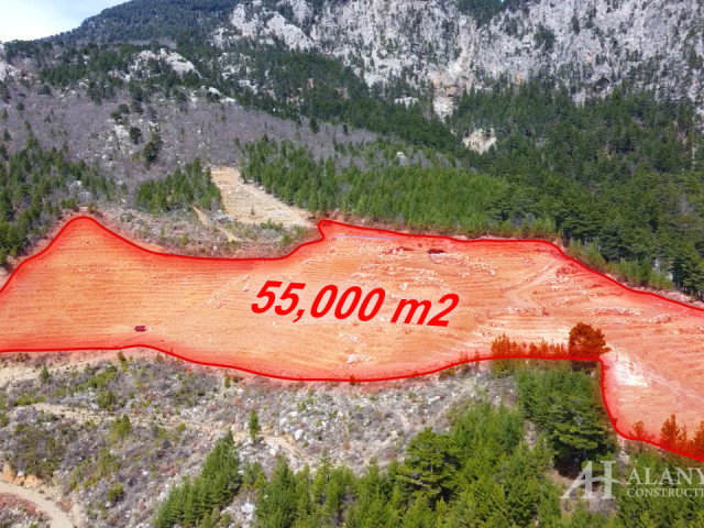 Продается земельный участок в Алании / Газипаша 55000m2 для строительство МЖК