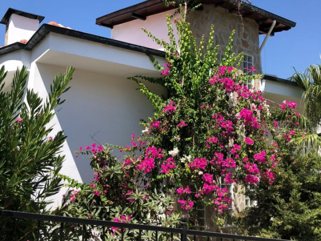 Sunrise Villas Kargicak Alanya Antalya Turkey